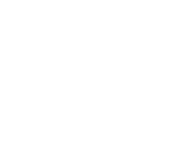 trueCraft